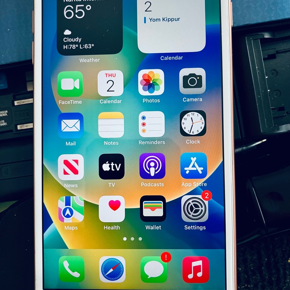 iPhone 8 Plus Bypassed/Jailbreak 64 GB No Activation Locks